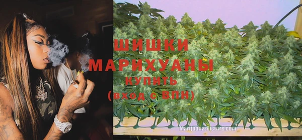 кокс Арсеньев