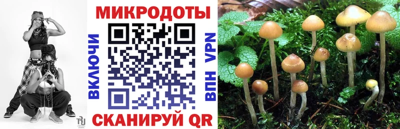 Псилоцибиновые грибы мицелий  закладка  Асино 